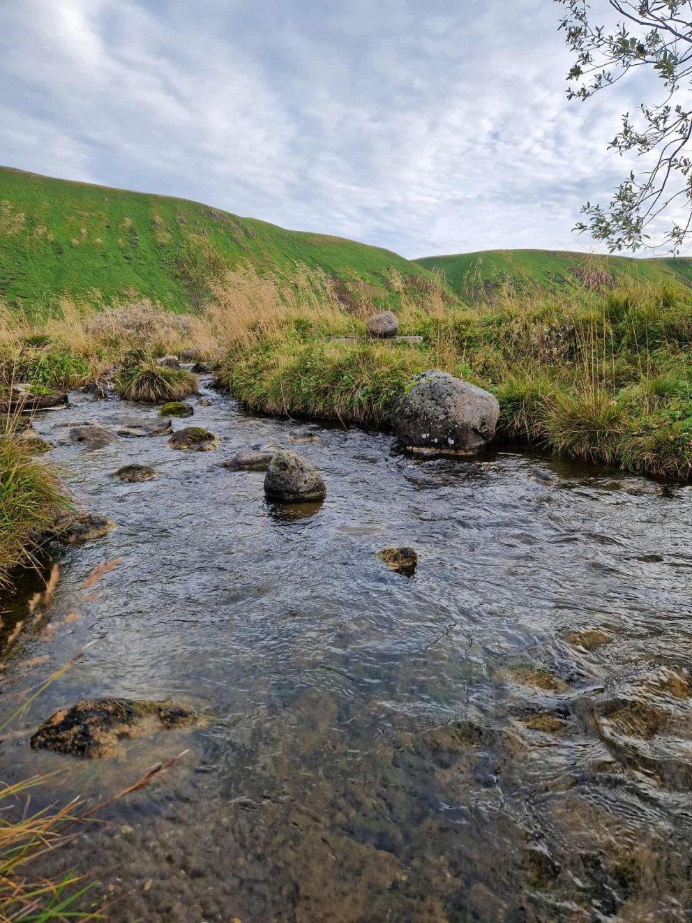 Námsmatsdagar 20. og 21. október