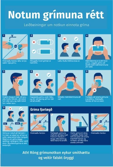 Grímunotkun í framhaldsskólum