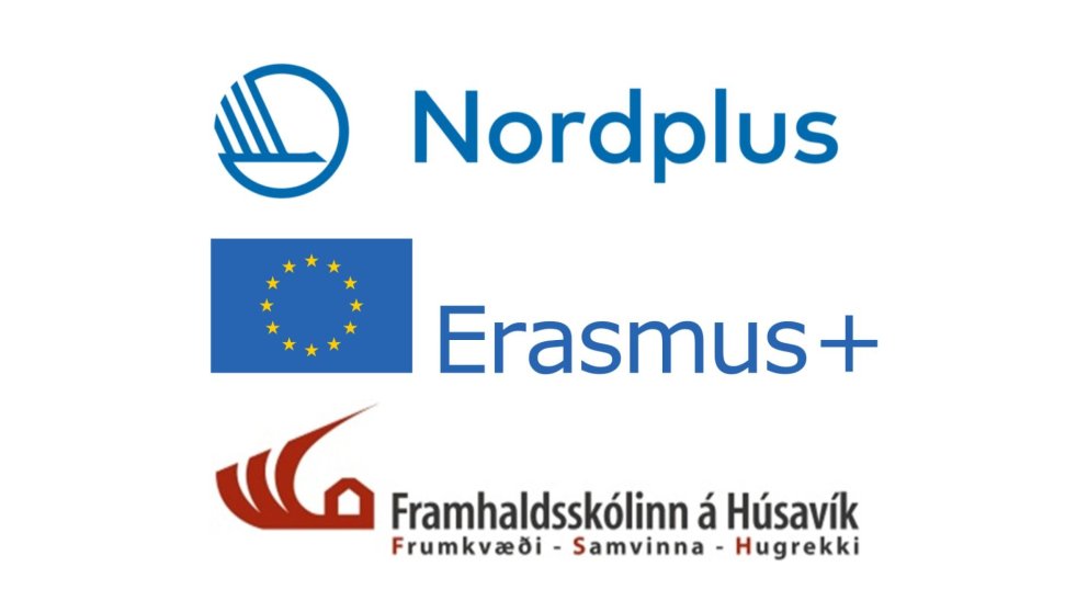 Alþjóðlegt samstarf heldur áfram að eflast í FSH