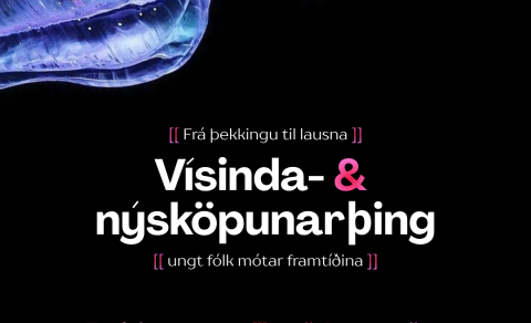 Vísinda- og nýsköpunarþing