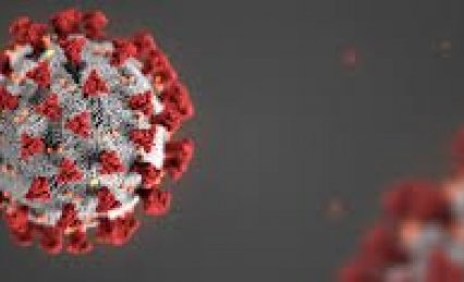 Staðkennsla / Teams 18. nóv - 2. des