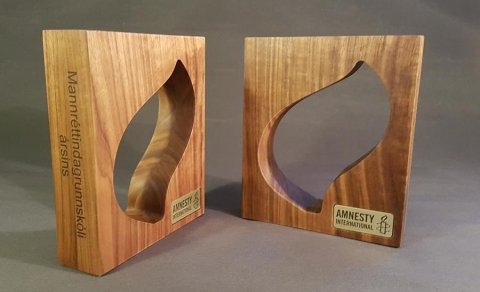 Mannréttindaskólar ársins 2020