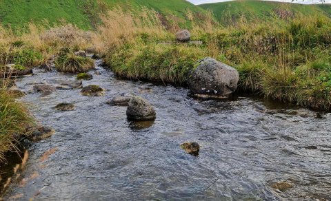 Námsmatsdagar 20. og 21. október
