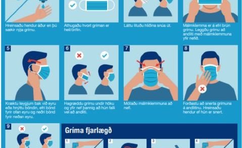 Grímunotkun í framhaldsskólum