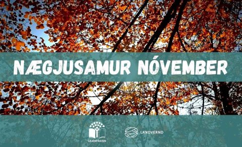 Nægjusamur nóvember