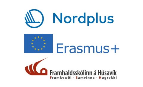 Alþjóðlegt samstarf heldur áfram að eflast í FSH